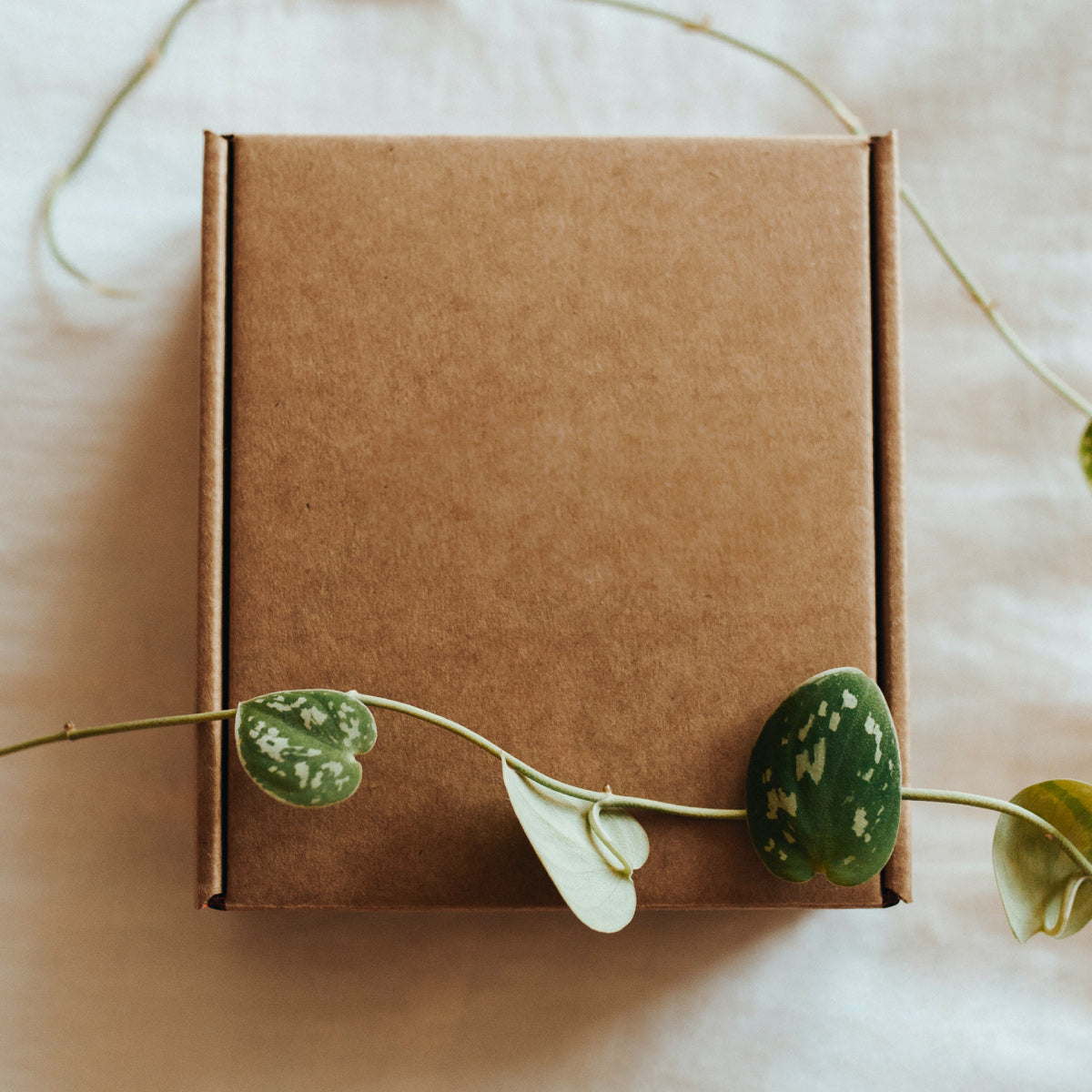 Sustainable Materials 4